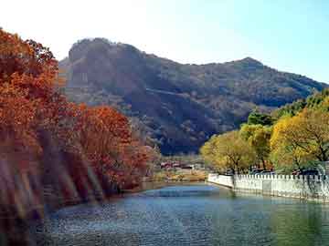 2026 世界杯旧金山赛区指南：在李维斯体育场看球的防晒与温差预警。